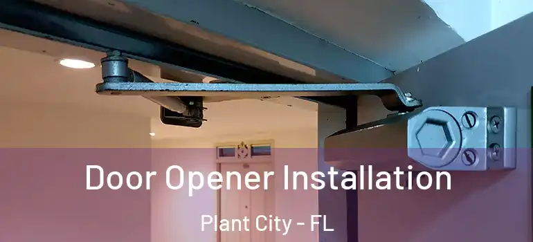  Door Opener Installation Plant City - FL
