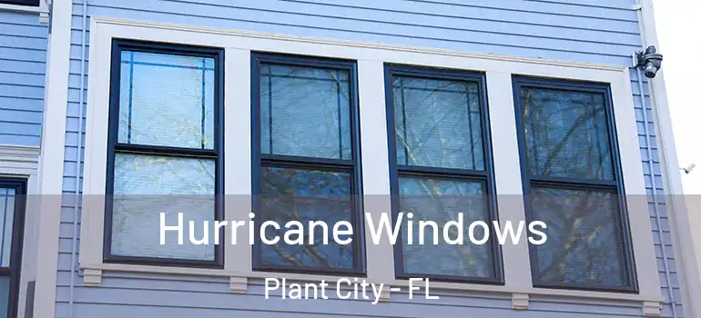  Hurricane Windows Plant City - FL