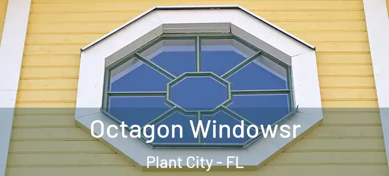  Octagon Windowsr Plant City - FL
