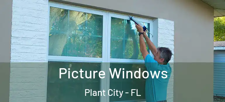  Picture Windows Plant City - FL