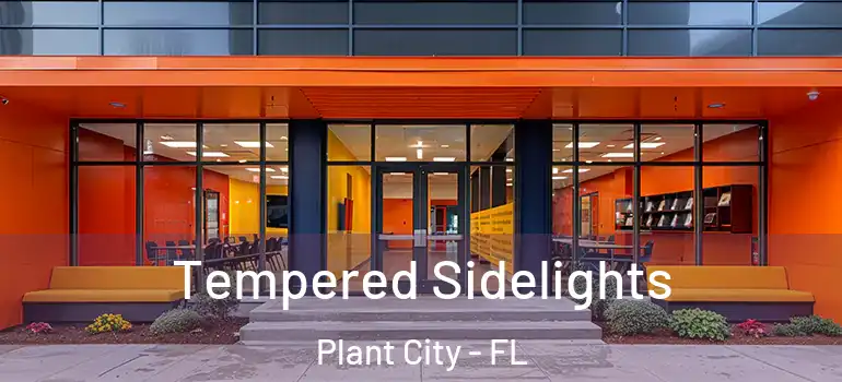  Tempered Sidelights Plant City - FL
