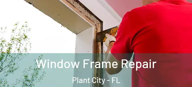  Window Frame Repair Plant City - FL